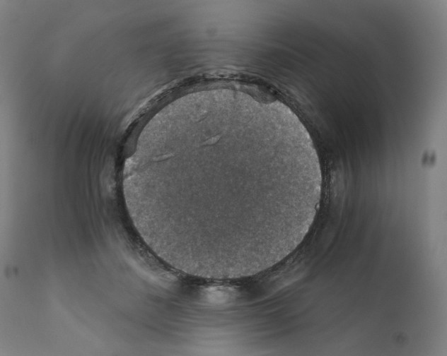 X0000110890508200907301545