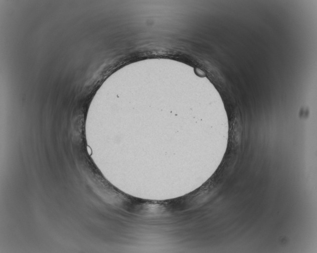 X0000110890509200907301545