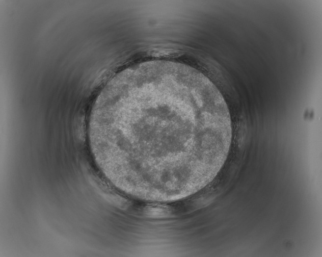 X0000110890510200907301545