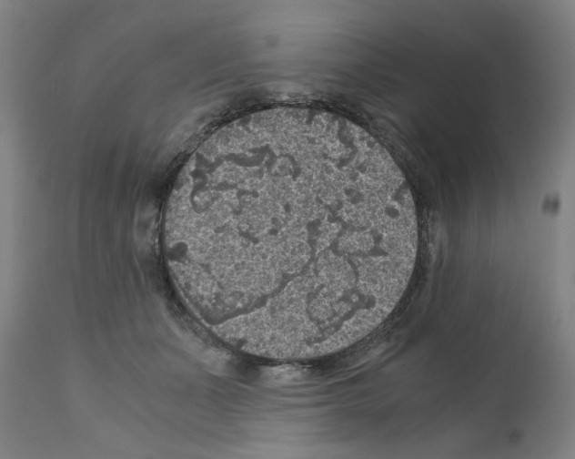 X0000110890511200907301545