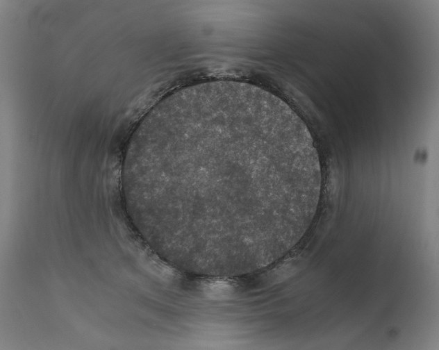 X0000110890513200907301545