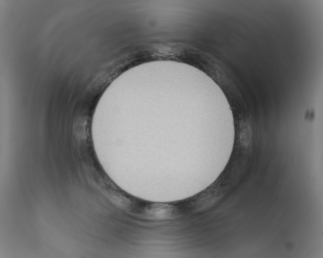 X0000110890514200907301545