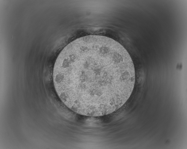 X0000110890515200907301545