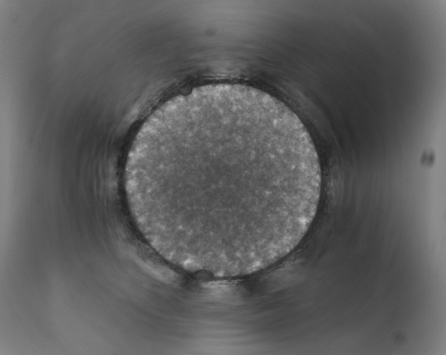 X0000110890516200907301545