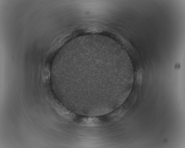 X0000110890517200907301545