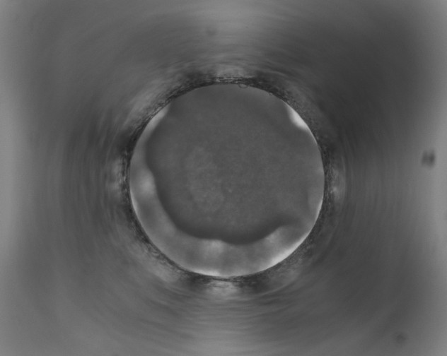 X0000110890519200907301545