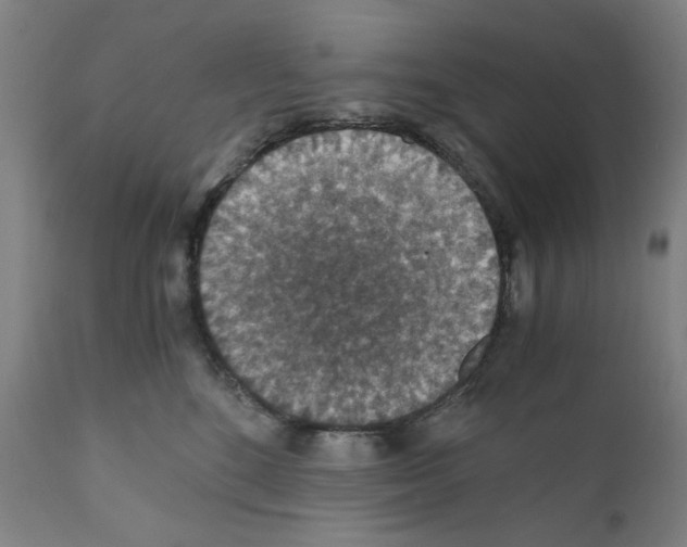 X0000110890520200907301545