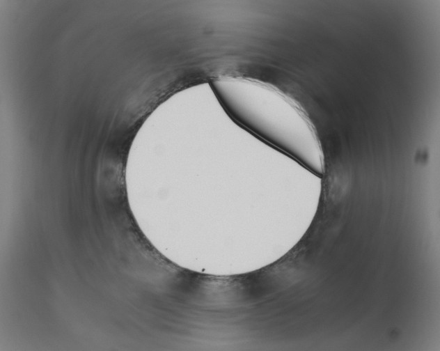 X0000110890521200907301545