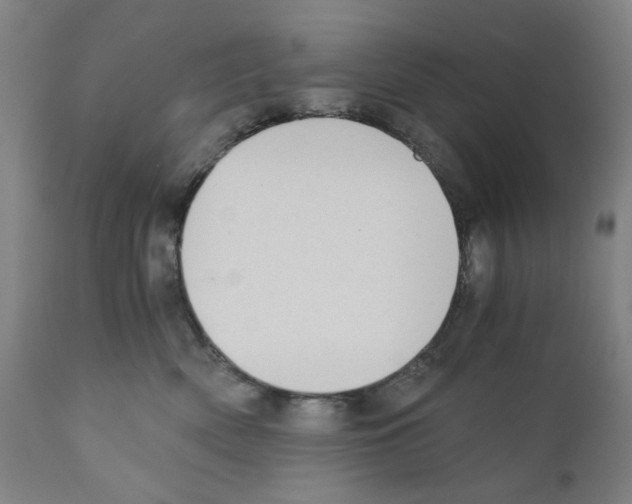 X0000110890522200907301545