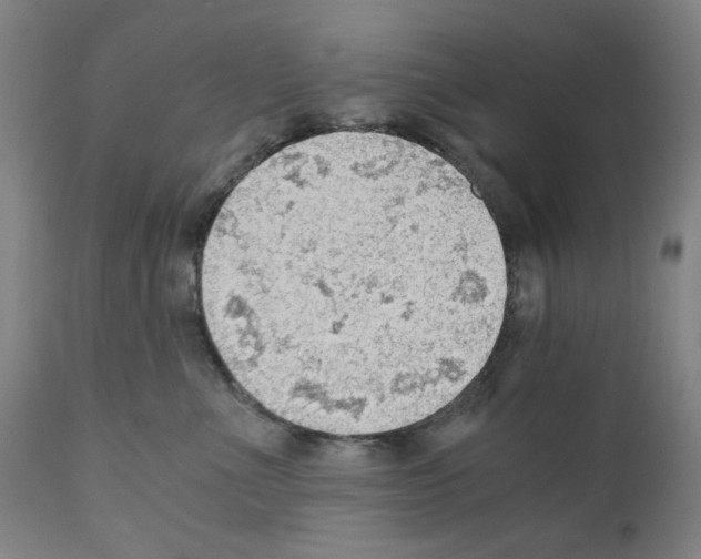 X0000110890523200907301545