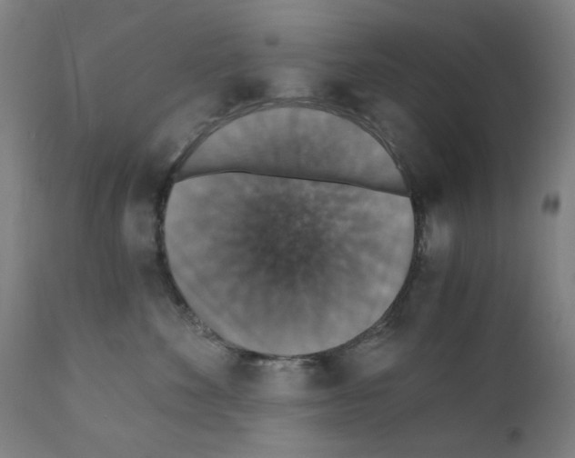 X0000110890524200907301545