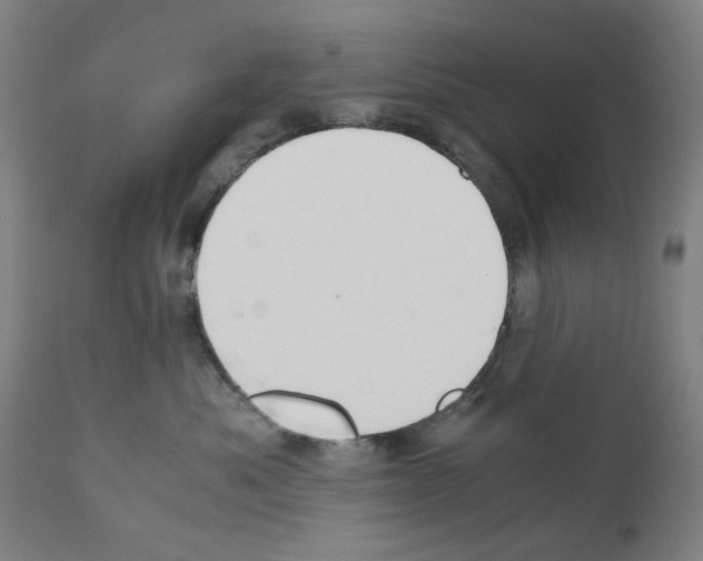 X0000110890525200907301545