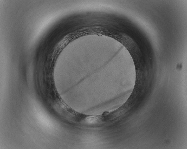 X0000110890526200907301545