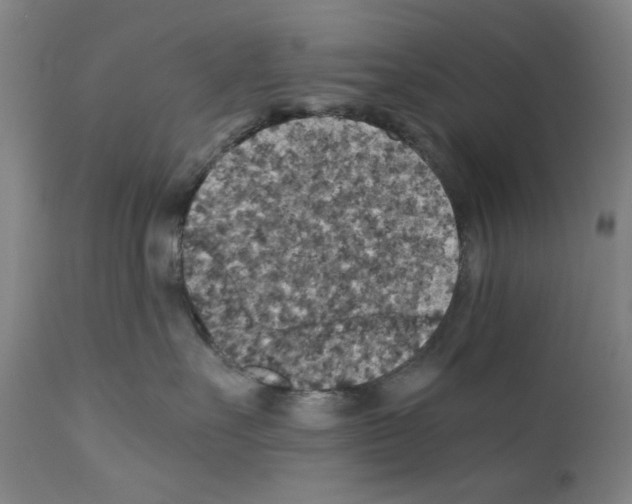 X0000110890527200907301545