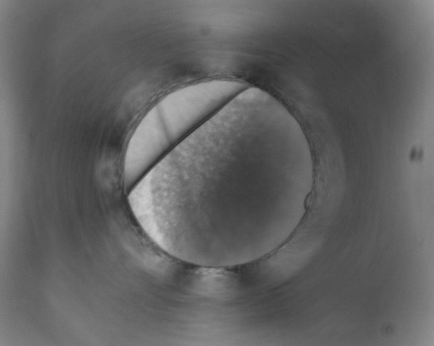 X0000110890528200907301545