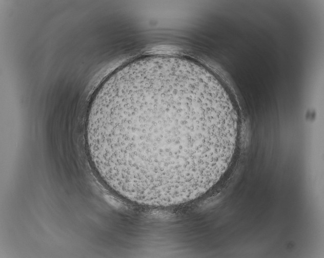 X0000110890529200907301544