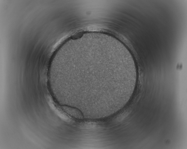 X0000110890530200907301544