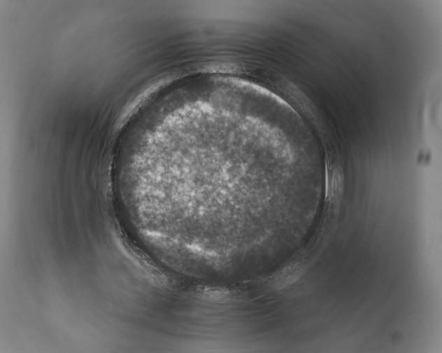 X0000110890531200907301545