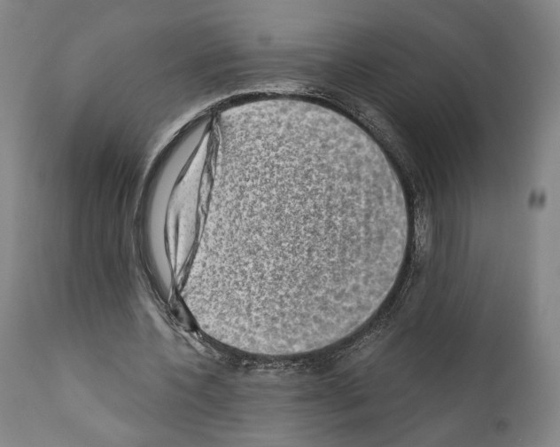 X0000110890532200907301545