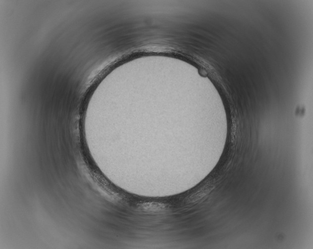 X0000110890535200907301545