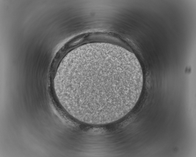 X0000110890536200907301545