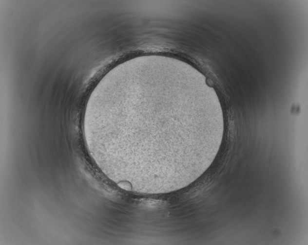X0000110890539200907301545