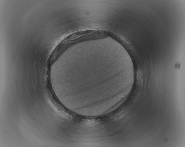 X0000110890540200907301545