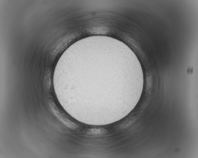 X0000110890541200907301545