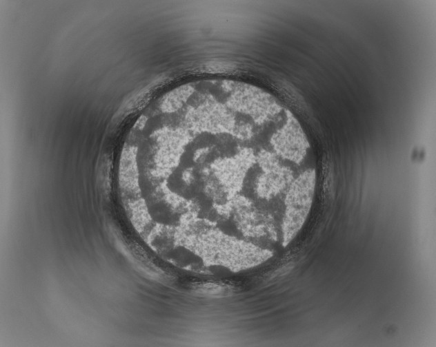 X0000110890542200907301545