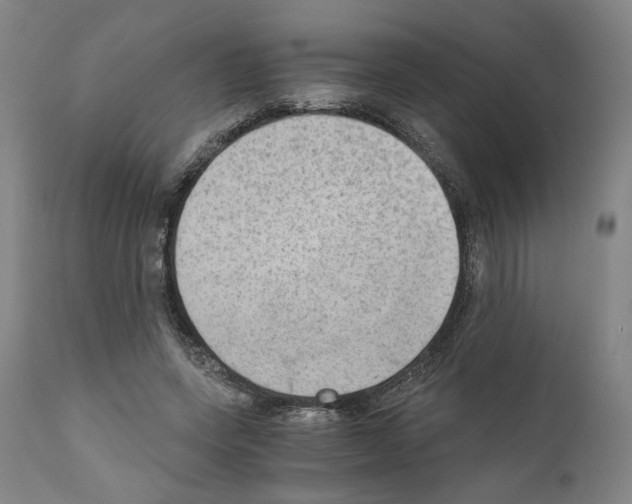 X0000110890543200907301545