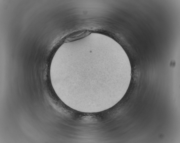 X0000110890544200907301545