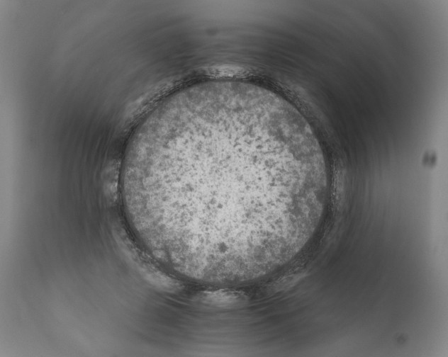X0000110890545200907301545