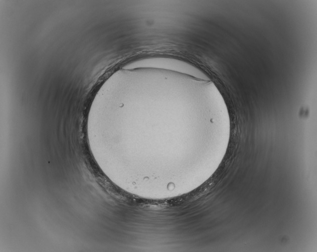 X0000110890548200907301545