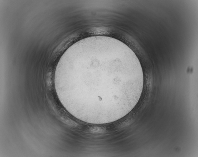X0000110890549200907301545