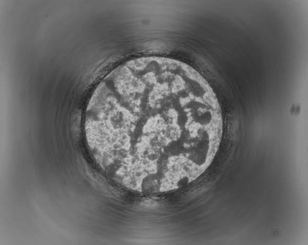 X0000110890550200907301545