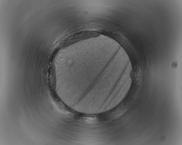X0000110890552200907301545