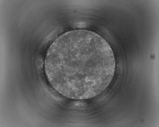 X0000110890555200907301545