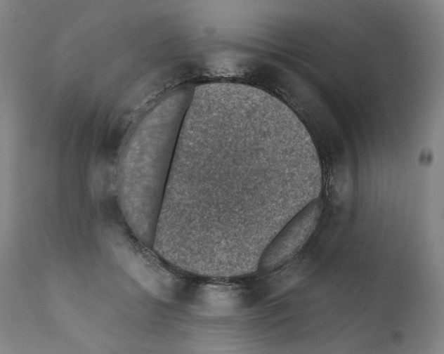 X0000110890556200907301545