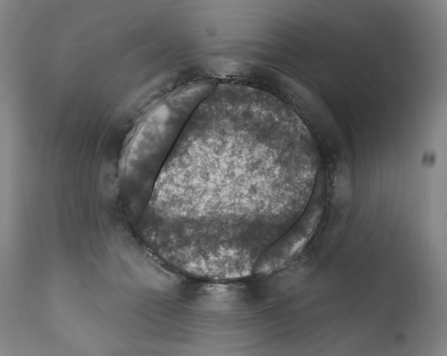 X0000110890558200907301545