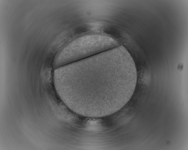 X0000110890560200907301545