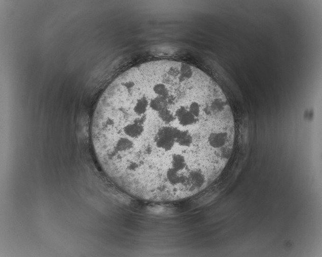 X0000110890561200907301545