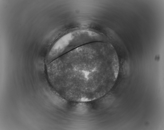 X0000110890562200907301545