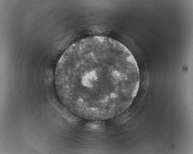 X0000110890563200907301545