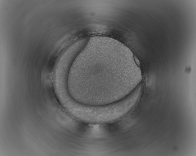 X0000110890564200907301545