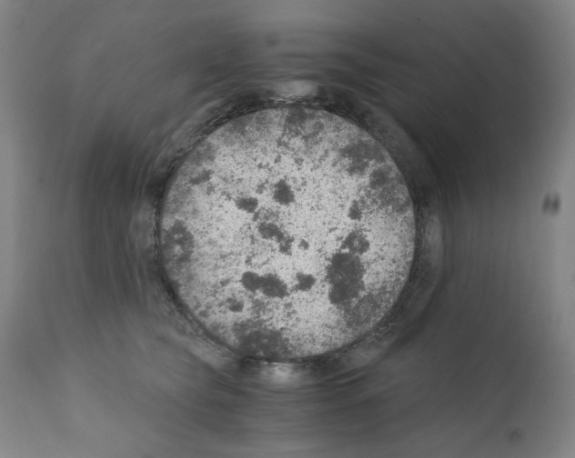 X0000110890565200907301545