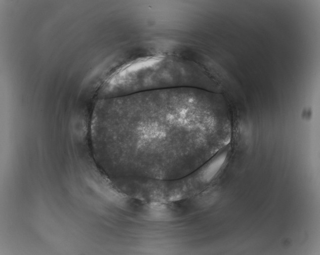 X0000110890566200907301545