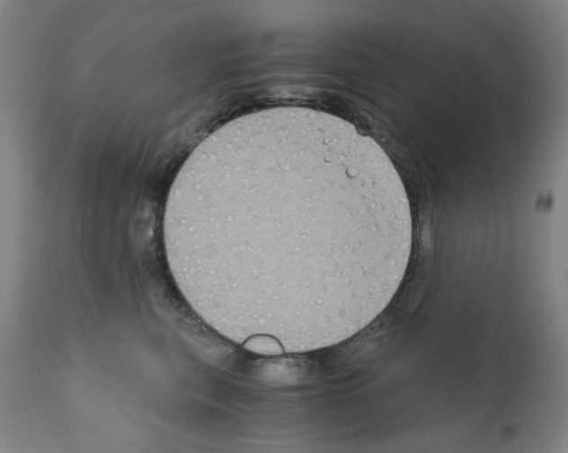 X0000110890567200907301545