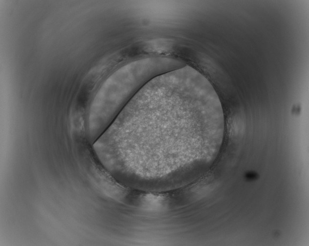 X0000110890570200907301545