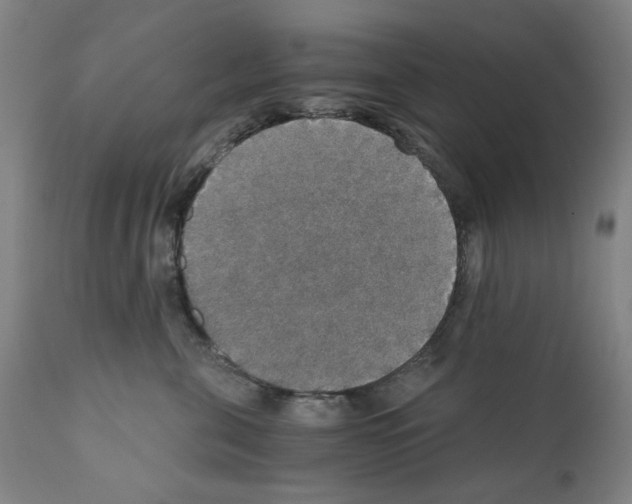 X0000110890571200907301545