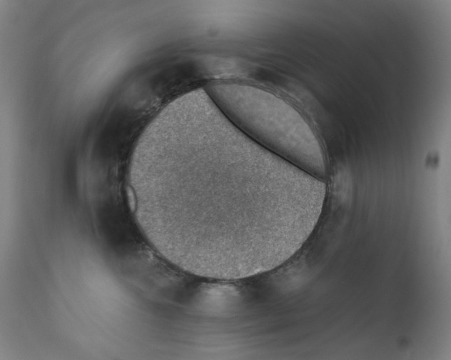 X0000110890572200907301545